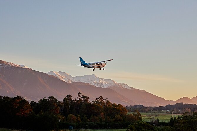 Whale Watching in Kaikoura - Ultimate Experience - How long the 30-minute flight feels