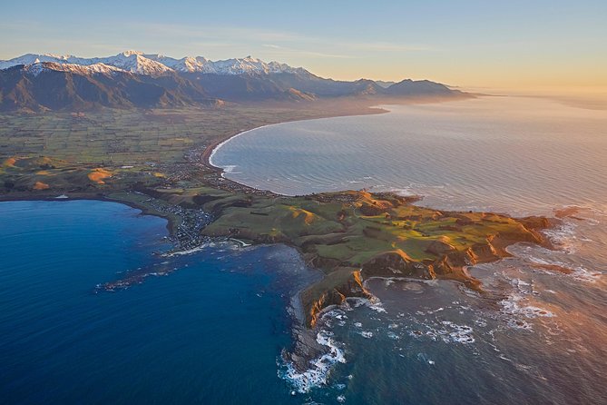 Whale Watching in Kaikoura - Ultimate Experience - The safety briefing and small-aircraft setup