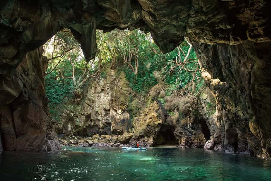 Whangamata: Donut Island Guided Kayaking Experience - Key points at a glance