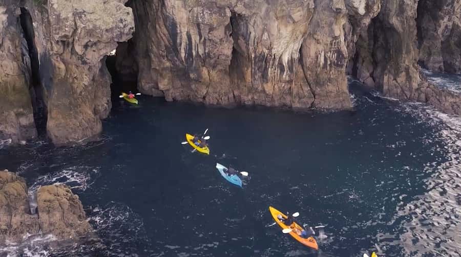 Whangamata: Donut Island Guided Kayaking Experience - Why Donut Island feels different from ordinary sea kayaking