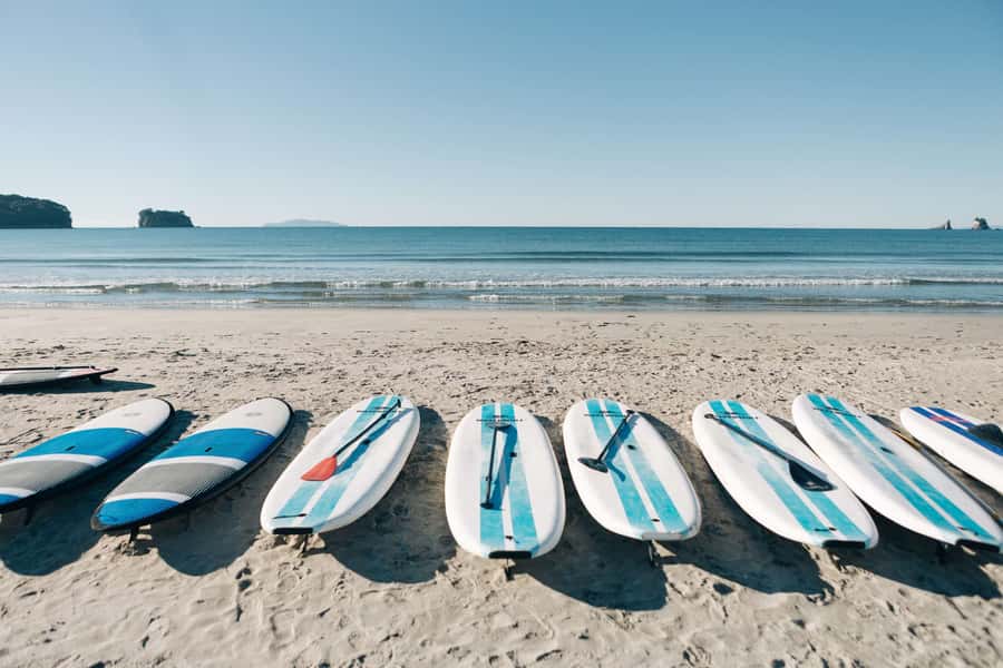 Whangamata: Donut Island Guided Kayaking Experience - Why the two-hour length works