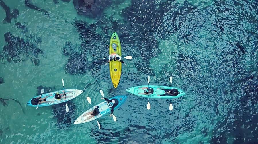 Whangamata: Donut Island Guided Kayaking Experience - From 100 Pipi Road to the Whangamata launch
