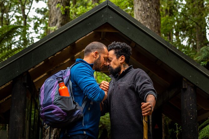 Whirinaki Forest Footsteps: Māori Guided Tour, Picnic & Transfer - Key points to know before booking