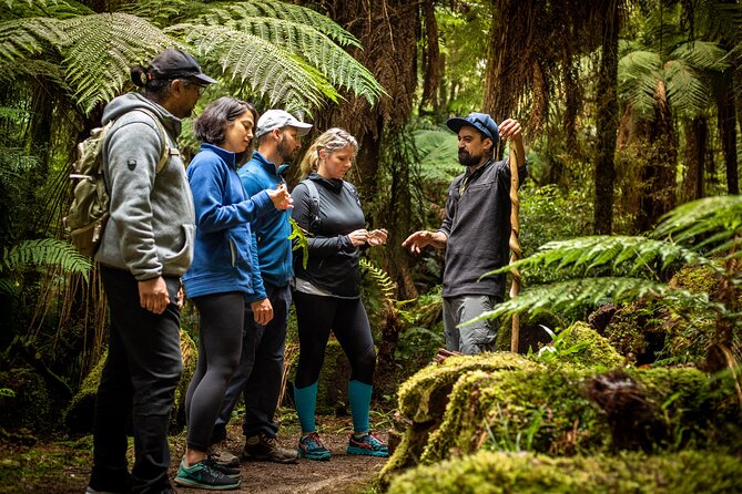 Whirinaki Forest Footsteps: Māori Guided Tour, Picnic & Transfer - Who will enjoy this day most?