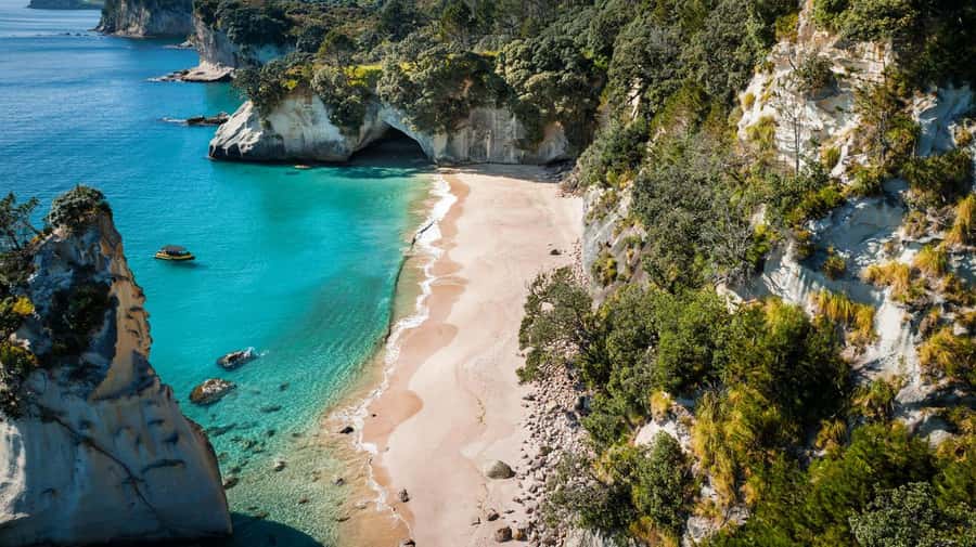 Whitianga: 2-Hour Cathedral Cove and Volcanic Coast Cruise - Lonely Bay, Cooks Beach, Hahei, and the wider bay