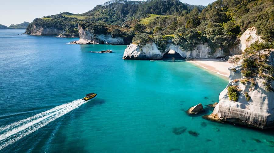Whitianga: 2-Hour Cathedral Cove and Volcanic Coast Cruise - The guides make the difference