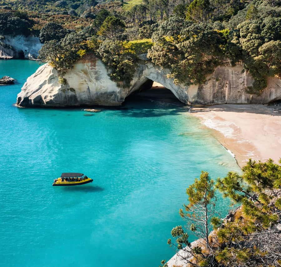 Whitianga: 2-Hour Cathedral Cove and Volcanic Coast Cruise - Is $83 good value for two hours?