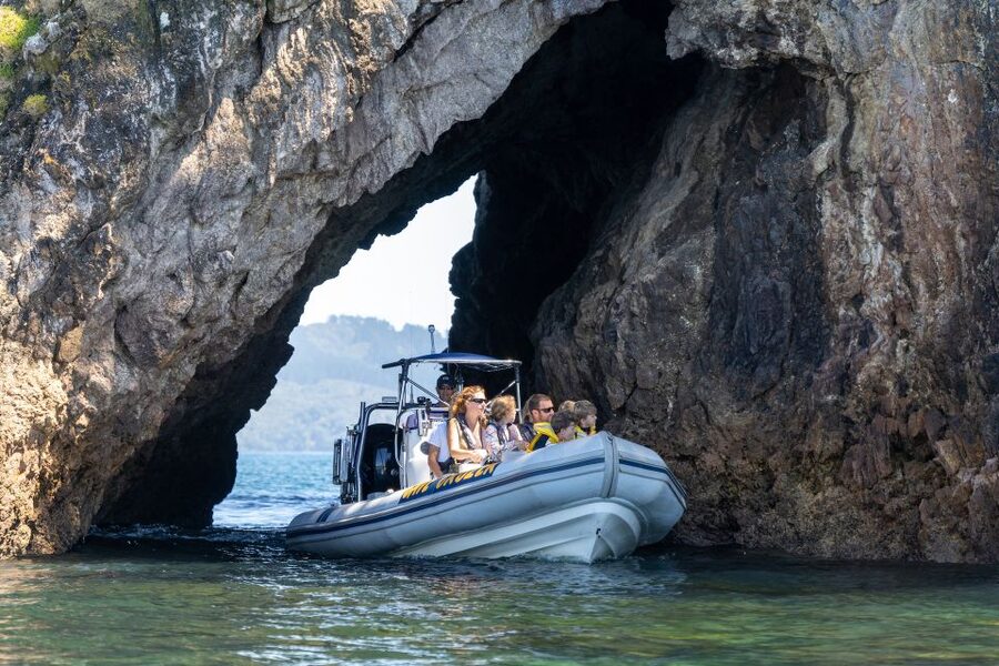 Whitianga: Cathedral Cove Thrilling Boat Tour and Snorkeling - Key points to know before you book