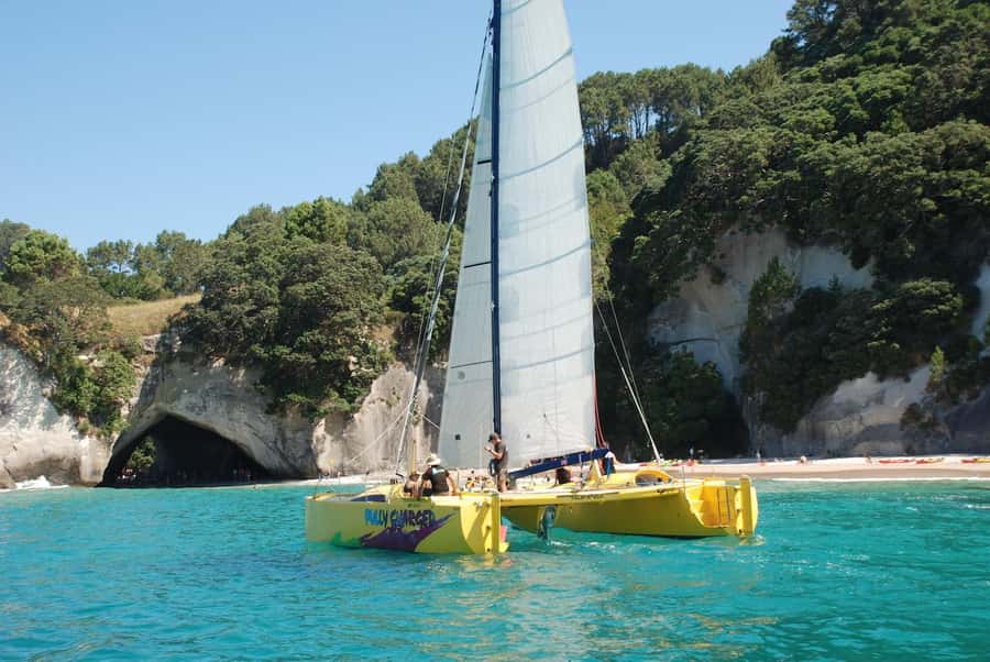 Whitianga: Sailing Trip to Cathedral Cove - Key points to know before you book