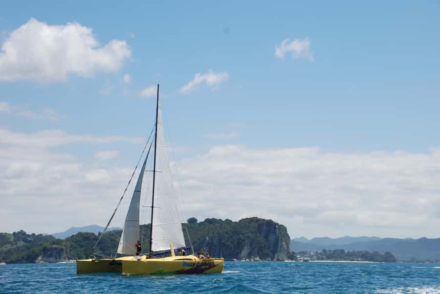 Whitianga: Sailing Trip to Cathedral Cove - Coffee, wine, fruit, and the small comforts