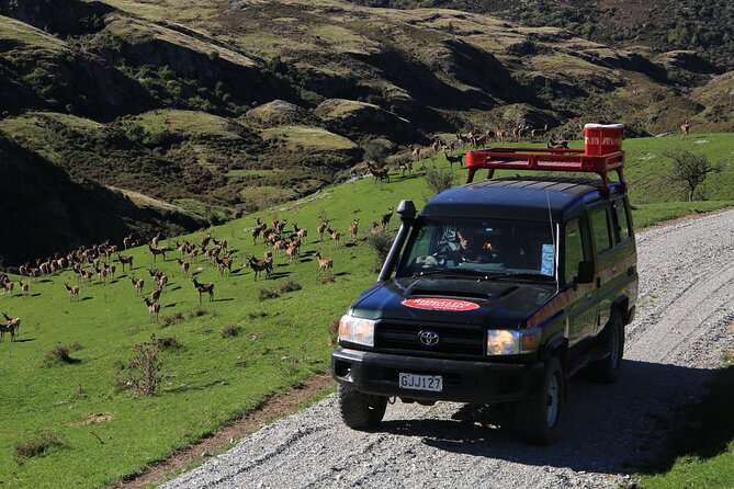Wild Hills Off Road Safari - Coffee and treats at the alpine café