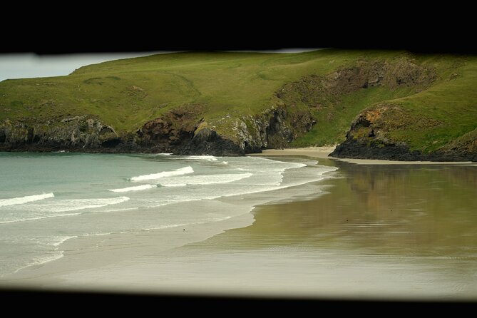 Wildlife and Penguin Tour - The rehabilitation centre offers the closest view