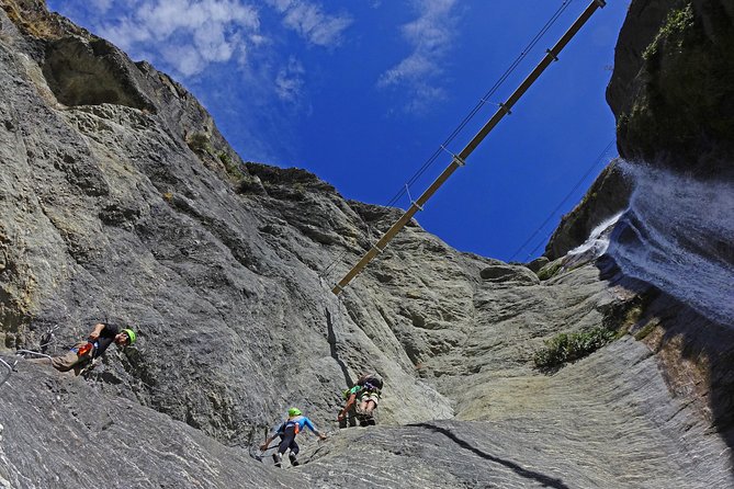 Wildwire Wanaka- Level 2 (4 Hours) - Who should choose Level 2?