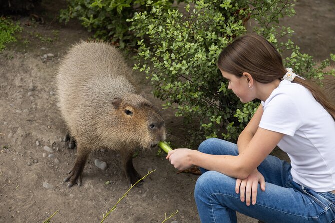 Willowbank Wildlife Reserve Day Entry - Food, breaks, and practical comfort