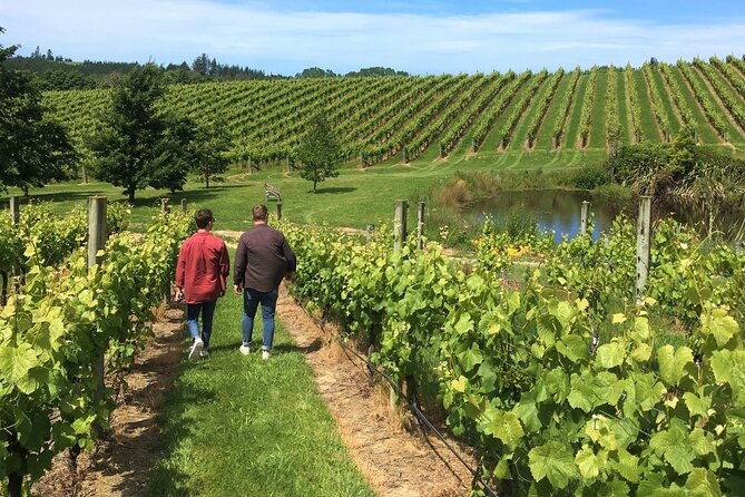 Wine Exposed Nelson Winery Tour - Upper Moutere brings the rural setting