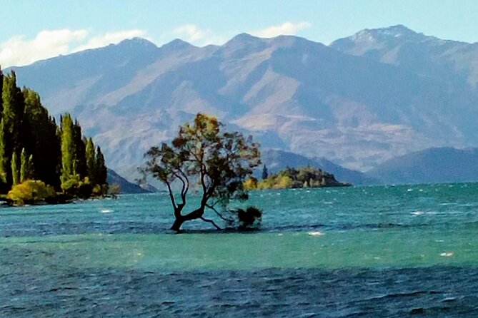 Wine Tasting Adventure Wanaka and Beyond - Why this Wanaka wine tour covers more ground
