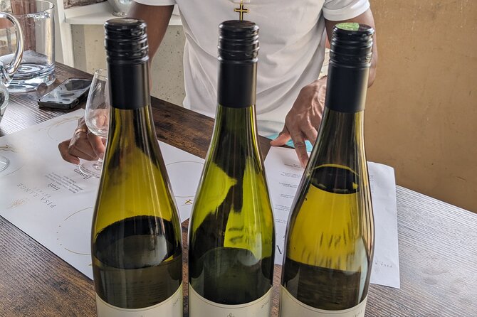 Wine Tasting Adventure Wanaka and Beyond - Five wineries, local makers, and lunch