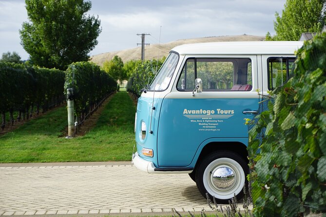Wine Tour and Tastings in Hawkes Bay - The cheese platter adds welcome balance