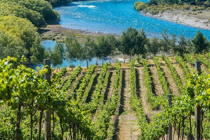 Wine Tour with Wine Tasting from Wanaka - What the $184.31 price really includes