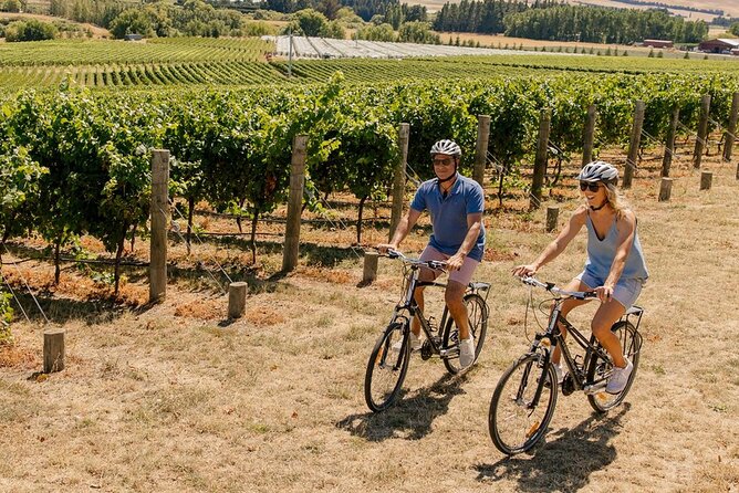 Wine trail and Christchurch City - Luxury, Small Group Tour - A sweet stop at She Chocolate