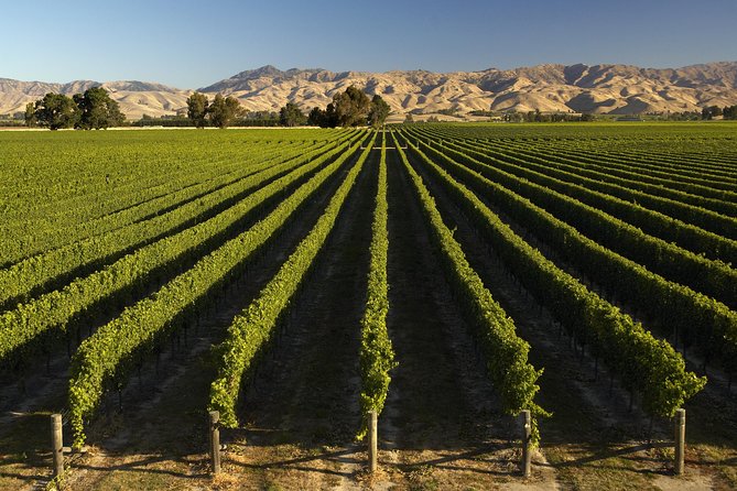 Wine trail and Christchurch City - Luxury, Small Group Tour - Who will get the most from this day?
