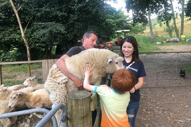 Wool Sheep Farm Experience with Handmade Wool Hat in New Zealand - Meeting Angie at a Working Farm Near Ātiamuri