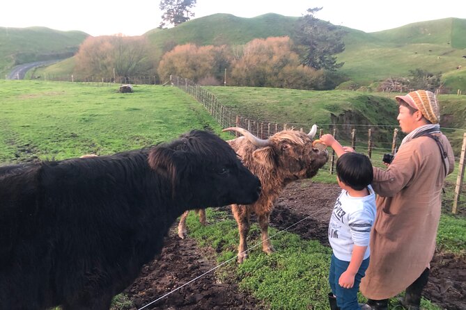 Wool Sheep Farm Experience with Handmade Wool Hat in New Zealand - Why the One-Hour Format Works, and Where It Falls Short