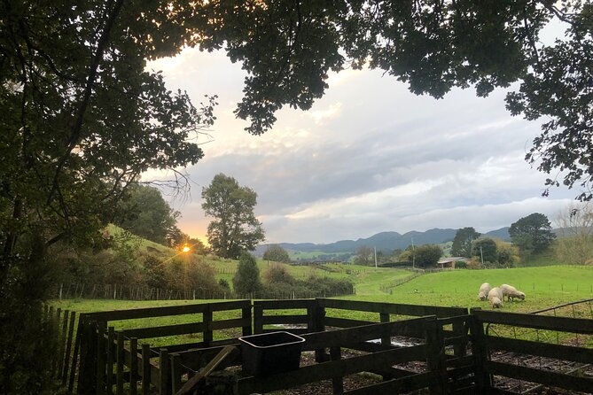 Wool Sheep Farm Experience with Handmade Wool Hat in New Zealand - FAQ