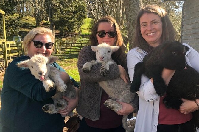 Wool Sheep Farm Experience with Handmade Wool Hat in New Zealand - Choosing a Hand-Dyed Wool Hat