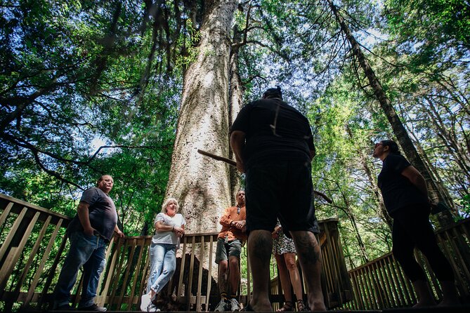 Your Kiwi Cultural Connection with Tu Tika Tours - Group size, transport, and practical planning