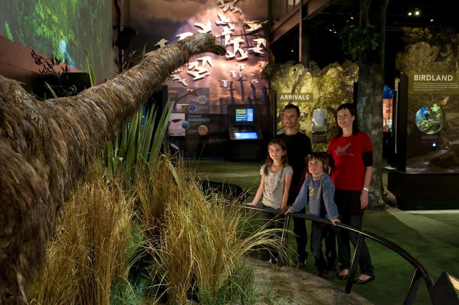Zealandia by Day Tour - Who will enjoy this tour most