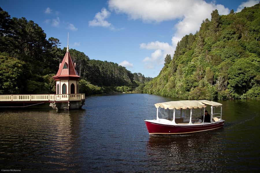 Zealandia by Day Tour - The chance to see a tuatara
