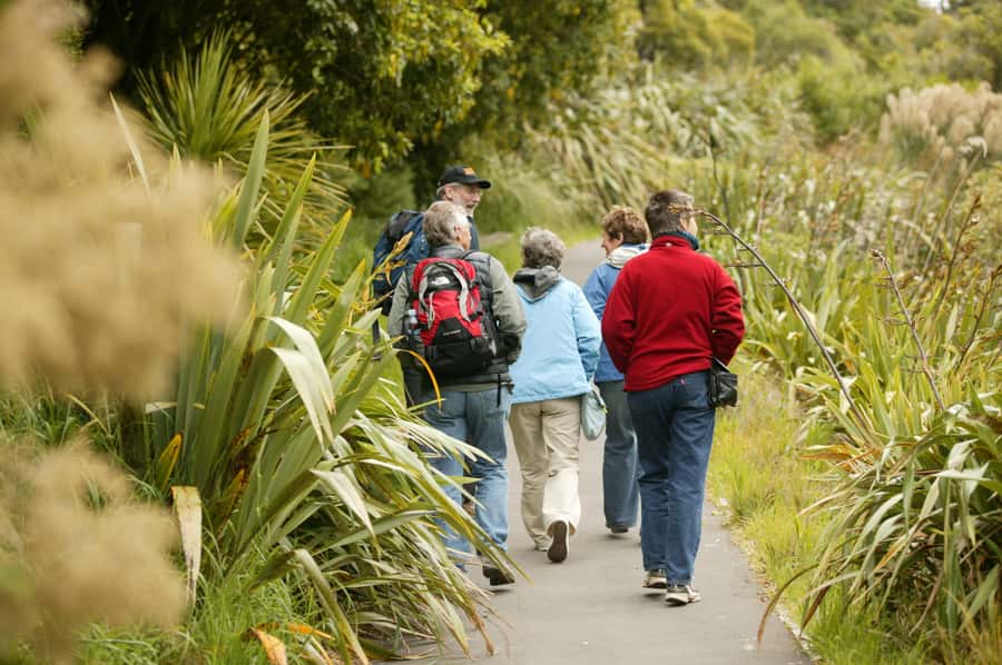 Zealandia by Day Tour - The first walk into the forest