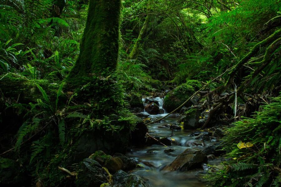 Zealandia by Night Tour - Who will enjoy this Wellington night tour