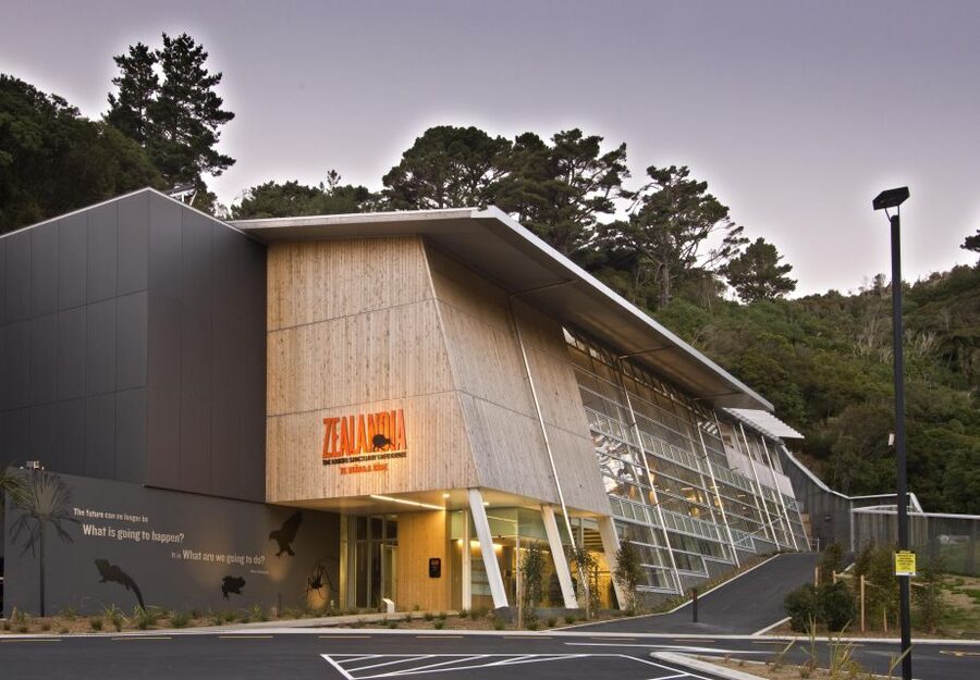 Zealandia by Night Tour - Kiwi watching is the tour’s great moment