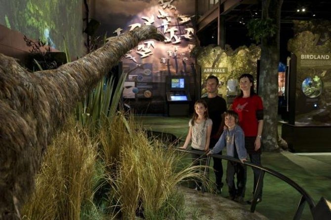 Zealandia Small Group Eco Wildlife Night Tour - Key points at a glance
