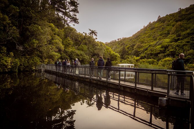 Zealandia Small Group Eco Wildlife Night Tour - Getting there from central Wellington