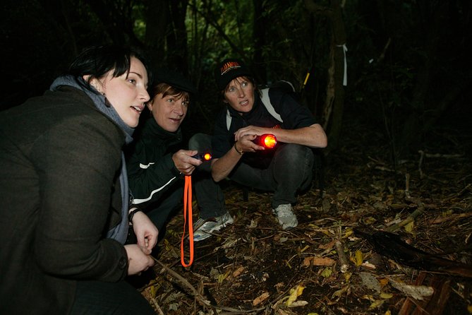 Zealandia Small Group Eco Wildlife Night Tour - Walking into Sanctuary Valley