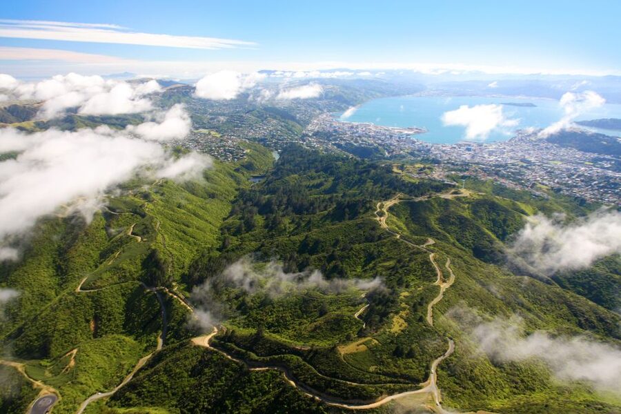Zealandia Twilight Ecosanctuary Tour - Who should choose the twilight tour?