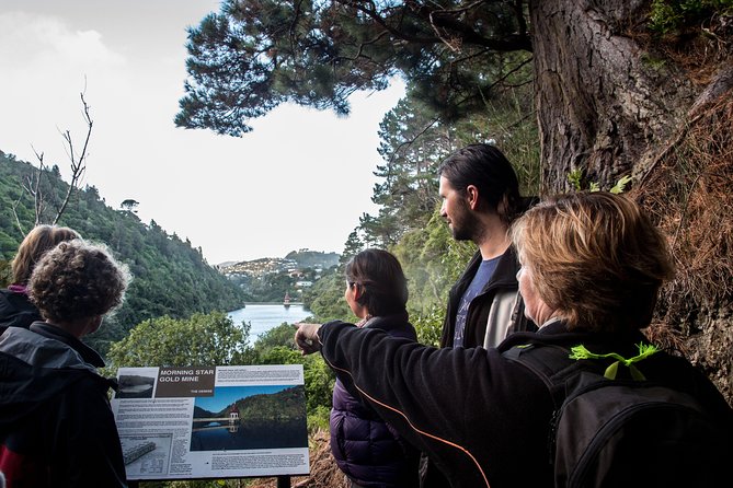 Zealandia - Twilight Guided Eco Wildlife Tour - Walking through the regenerating valley