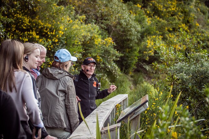 Zealandia - Twilight Guided Eco Wildlife Tour - Clothing, weather, and walking conditions